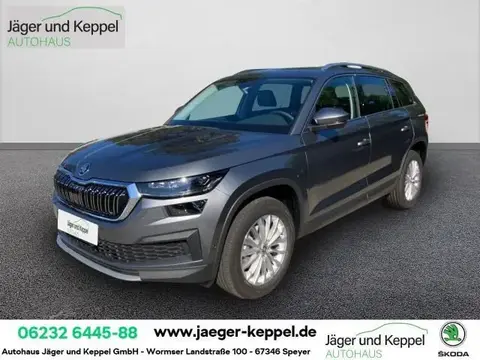 Used SKODA KODIAQ Diesel 2023 Ad 