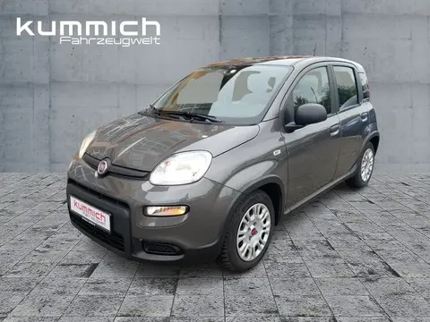 Used FIAT PANDA Hybrid 2024 Ad 