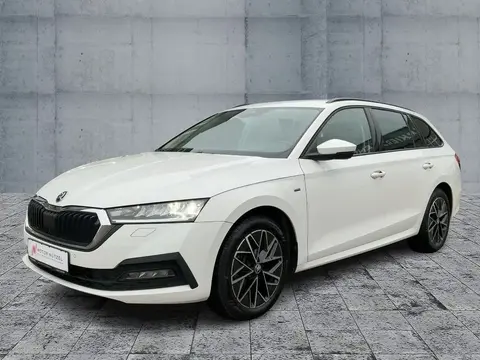 Annonce SKODA OCTAVIA Diesel 2021 d'occasion 