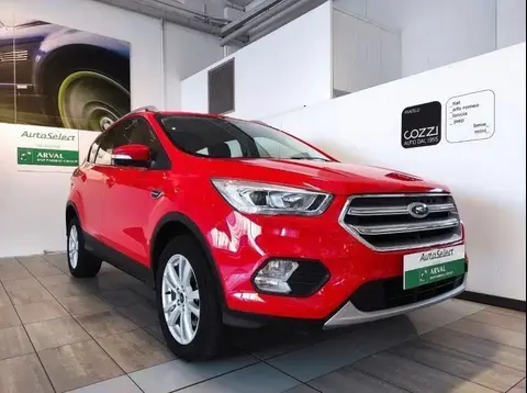 Used FORD KUGA Diesel 2019 Ad 