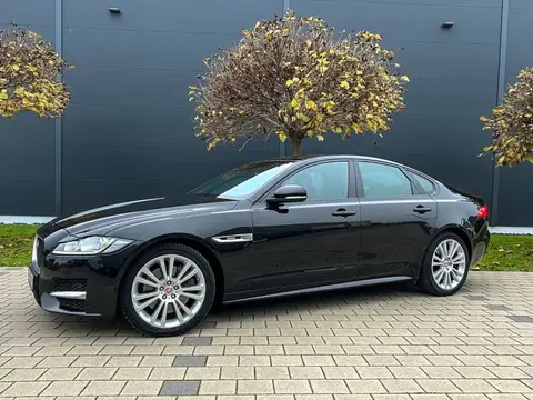 Annonce JAGUAR XF Diesel 2016 d'occasion 