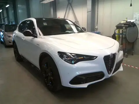 Annonce ALFA ROMEO STELVIO Diesel 2023 d'occasion 