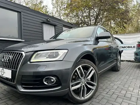 Used AUDI Q5 Diesel 2016 Ad 