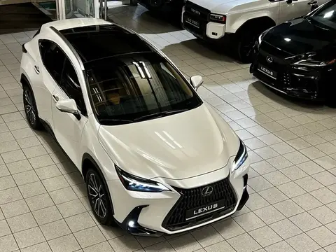 Annonce LEXUS NX Hybride 2024 d'occasion 