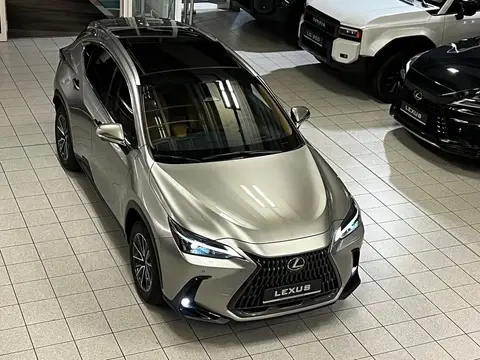 Annonce LEXUS NX Hybride 2024 d'occasion 