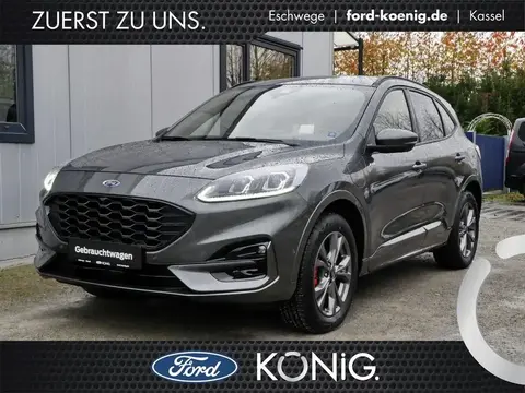 Used FORD KUGA Hybrid 2023 Ad 