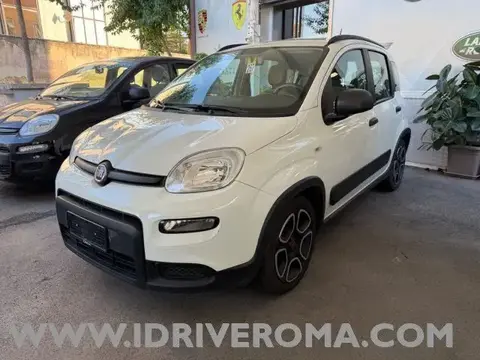 Used FIAT PANDA Petrol 2022 Ad 