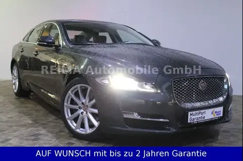 Used JAGUAR XJ Diesel 2017 Ad 