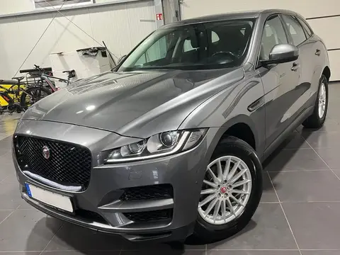 Annonce JAGUAR F-PACE Diesel 2017 d'occasion 