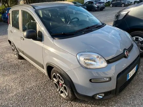 Annonce FIAT PANDA Essence 2022 d'occasion 