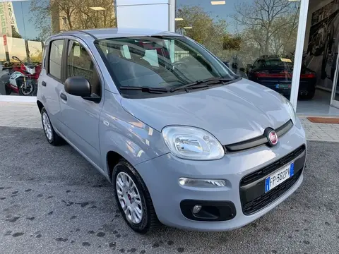 Annonce FIAT PANDA Essence 2018 d'occasion 