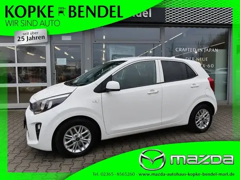 Annonce KIA PICANTO Essence 2023 d'occasion 