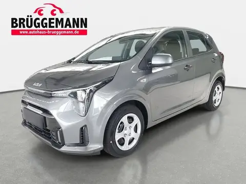 Annonce KIA PICANTO Essence 2024 d'occasion 