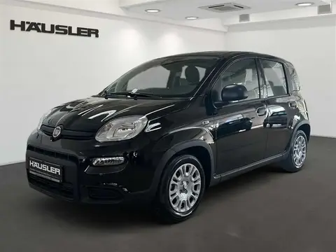 Annonce FIAT PANDA Essence 2024 d'occasion 