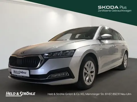 Annonce SKODA OCTAVIA Essence 2024 d'occasion 