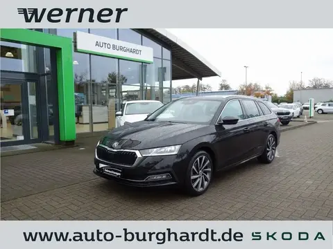 Used SKODA OCTAVIA Diesel 2022 Ad 