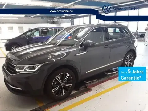 Used VOLKSWAGEN TIGUAN Petrol 2024 Ad 