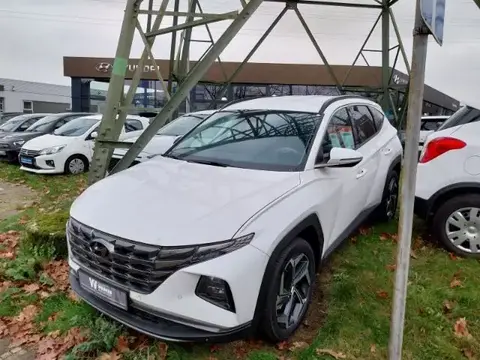 Used HYUNDAI TUCSON Hybrid 2023 Ad 