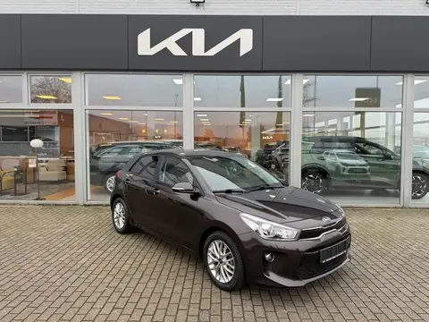 Used KIA RIO Petrol 2017 Ad 