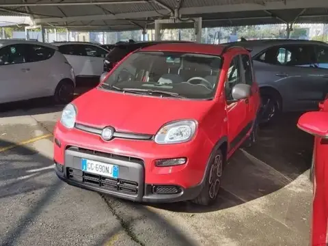 Used FIAT PANDA Hybrid 2021 Ad 