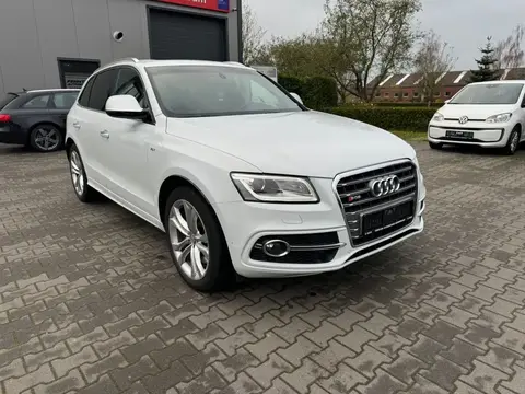 Annonce AUDI SQ5 Diesel 2016 d'occasion 