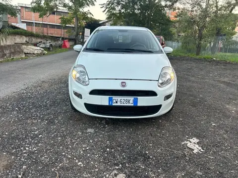 Used FIAT PUNTO LPG 2017 Ad 