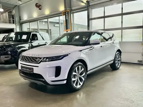 Used LAND ROVER RANGE ROVER EVOQUE Hybrid 2021 Ad 