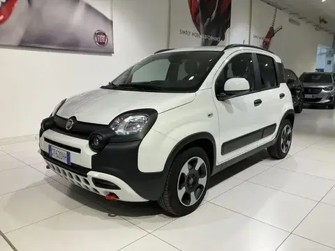 Used FIAT PANDA Hybrid 2024 Ad 