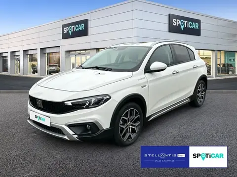 Used FIAT TIPO Petrol 2023 Ad 