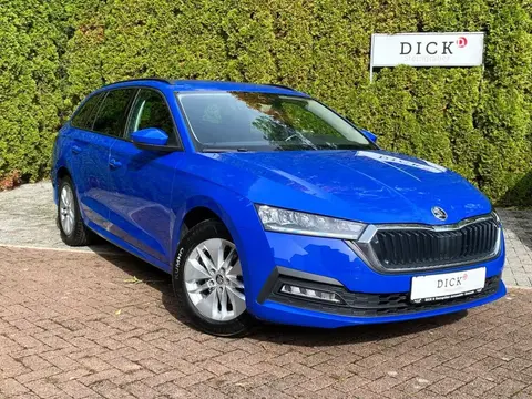 Used SKODA OCTAVIA Diesel 2020 Ad 