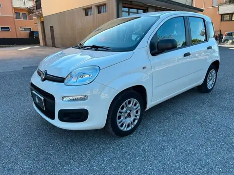 Used FIAT PANDA Petrol 2018 Ad 