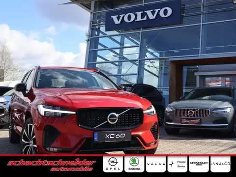 Used VOLVO XC60 Petrol 2023 Ad 