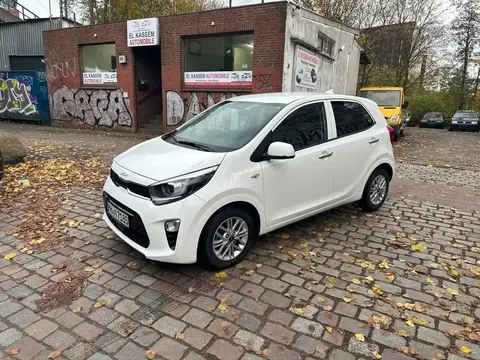 Used KIA PICANTO Petrol 2023 Ad 