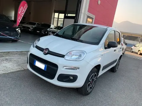 Used FIAT PANDA Petrol 2021 Ad 