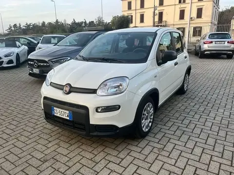 Used FIAT PANDA Hybrid 2023 Ad 