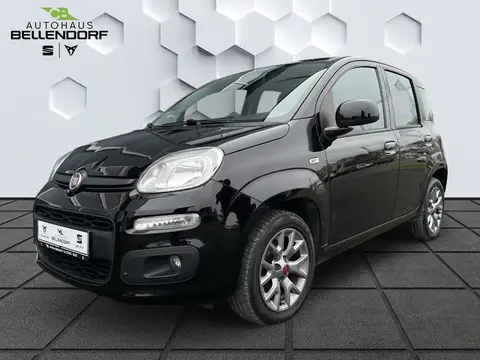 Used FIAT PANDA Petrol 2019 Ad 