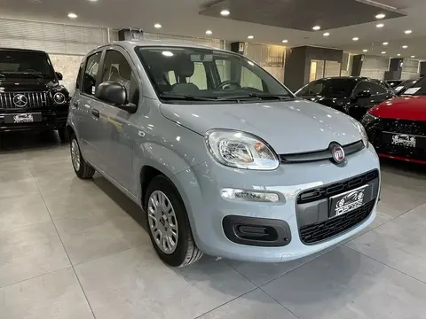 Used FIAT PANDA Hybrid 2021 Ad 