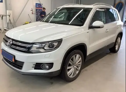 Used VOLKSWAGEN TIGUAN Diesel 2014 Ad 