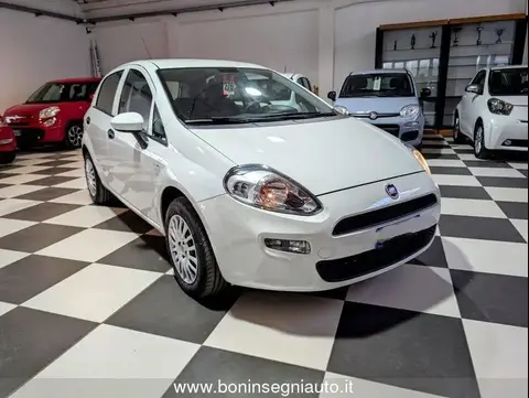 Annonce FIAT PUNTO Essence 2017 d'occasion 