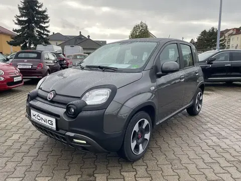 Used FIAT PANDA Petrol 2023 Ad 