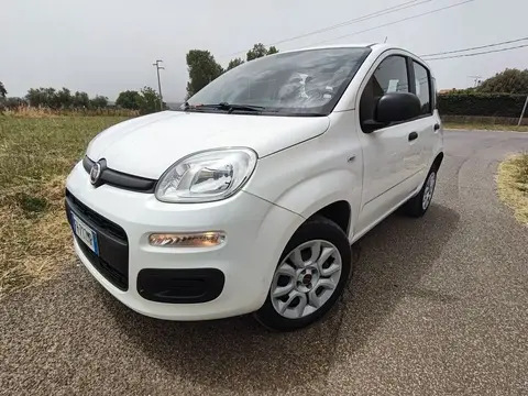 Used FIAT PANDA  2017 Ad 