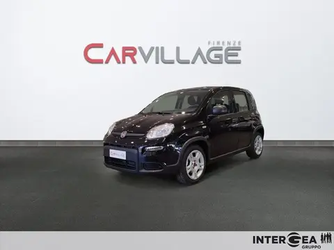 Used FIAT PANDA Hybrid 2023 Ad 