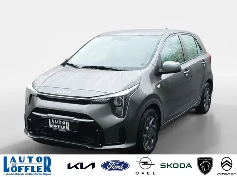 Used KIA PICANTO Petrol 2024 Ad 