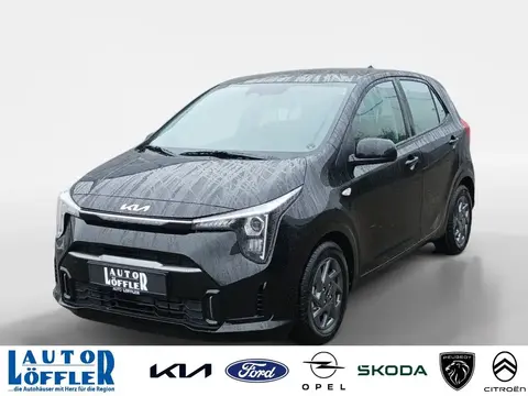 Used KIA PICANTO Petrol 2024 Ad 