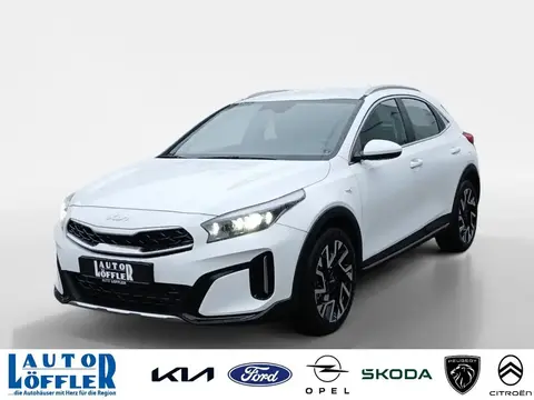 Used KIA XCEED Petrol 2024 Ad 