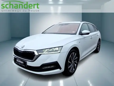 Annonce SKODA OCTAVIA Diesel 2023 d'occasion 