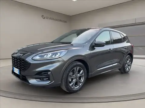 Annonce FORD KUGA Essence 2021 d'occasion 