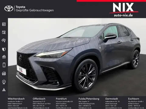 Used LEXUS NX Hybrid 2022 Ad 