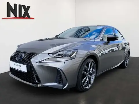 Used LEXUS IS Hybrid 2020 Ad 