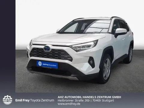 Used TOYOTA RAV4 Hybrid 2023 Ad 